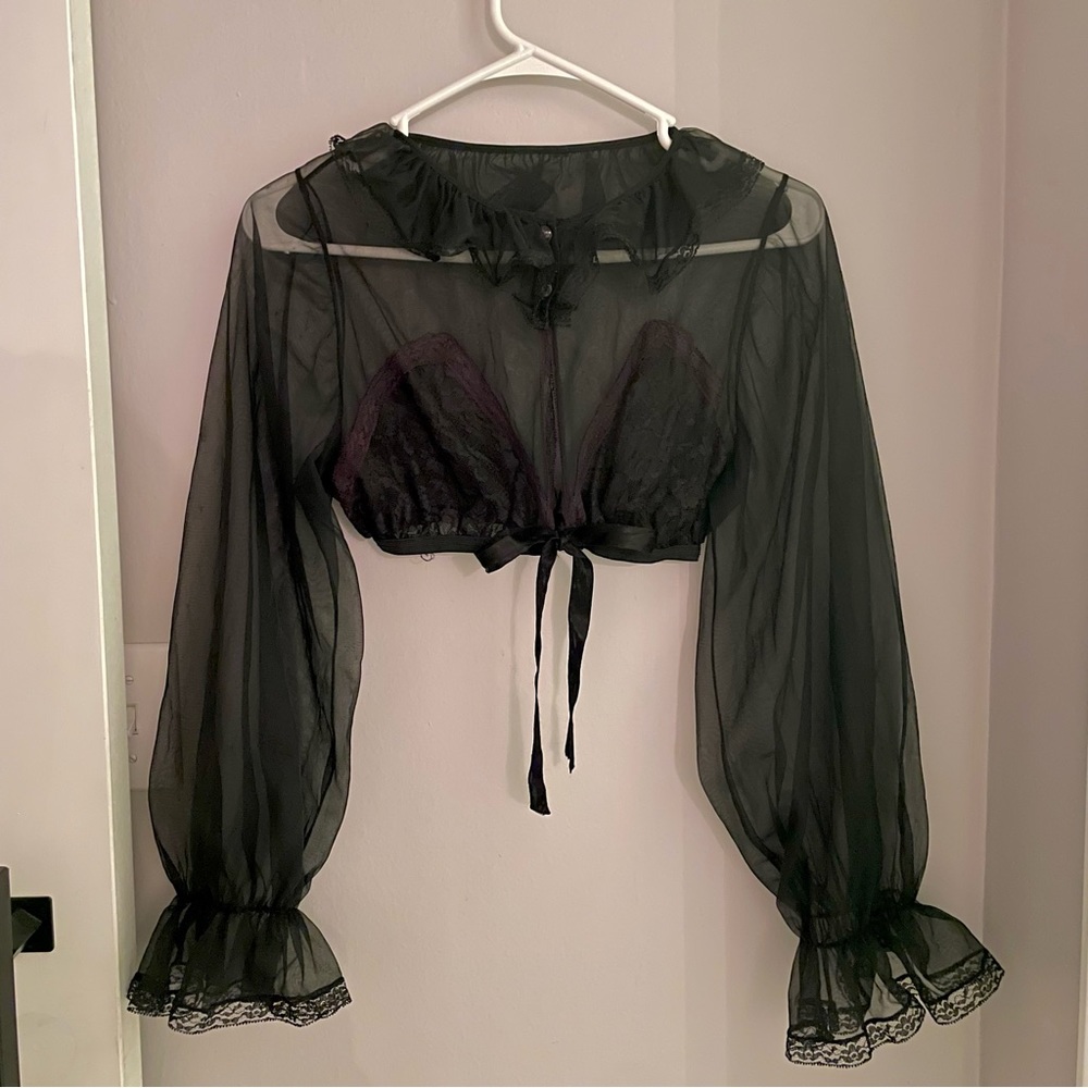 Crop Lace Mesh Long Sleeve Black Top